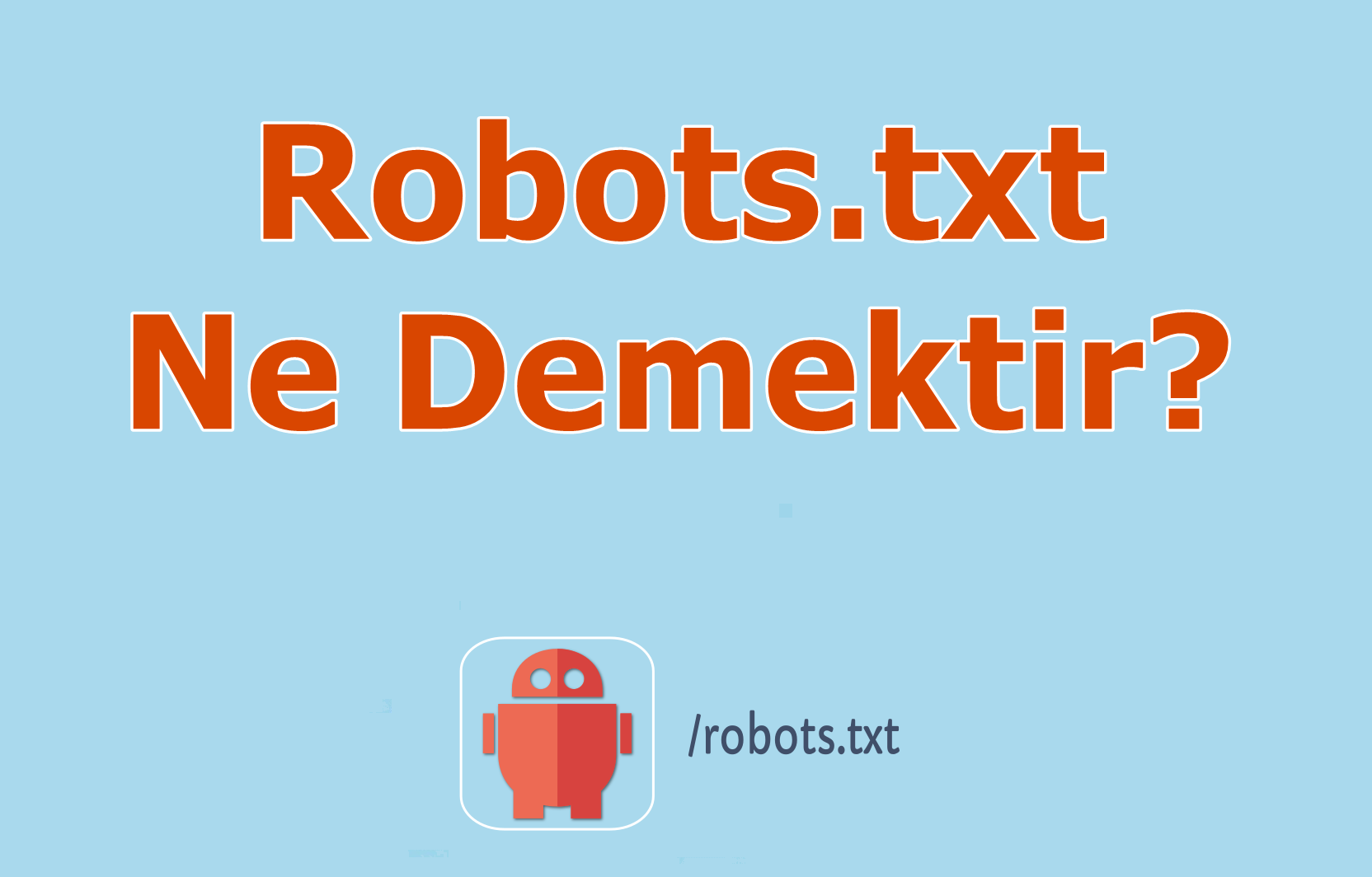 Robots.txt Ne Demektir?